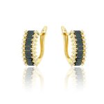 Arany fülbevaló cirkónia kövekkel 1026259